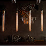Ampoule Tubulaire Vintage Edison T300 40W - L'Atelier Imbert