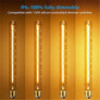 Ampoule Tubulaire Vintage Edison T300 40W - L'Atelier Imbert