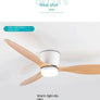 Ventilateur de plafond LED modernes - L'Atelier Imbert