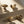 Bouton de meuble T-Bar – Laiton massif