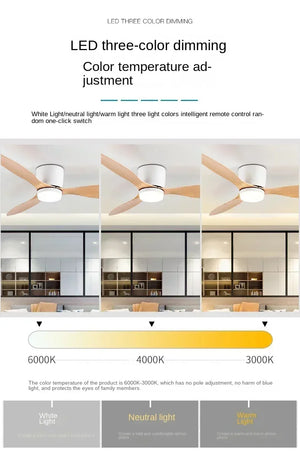 Ventilateur de plafond LED modernes - L'Atelier Imbert